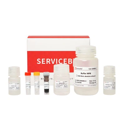 Pecyn Echdynnu DNA/RNA Firws MagBind